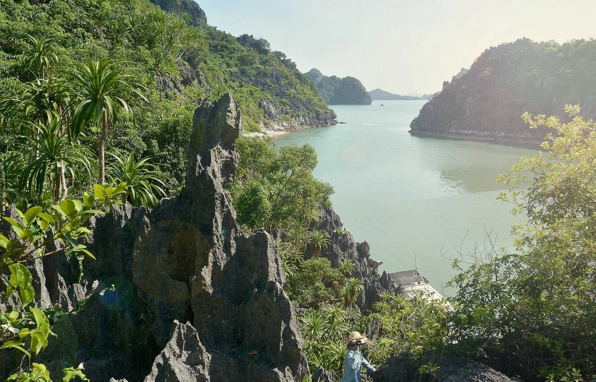 Tùng áng trong núi đá vôi