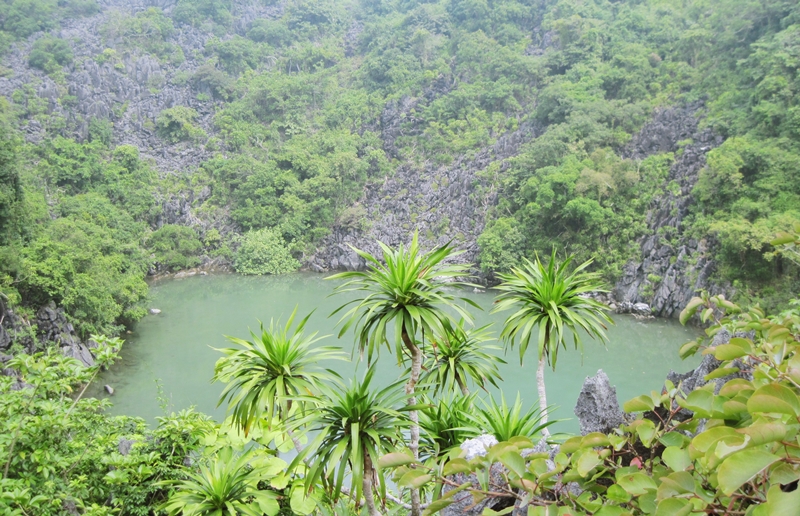 Vườn Quốc gia Bái Tử Long - 2